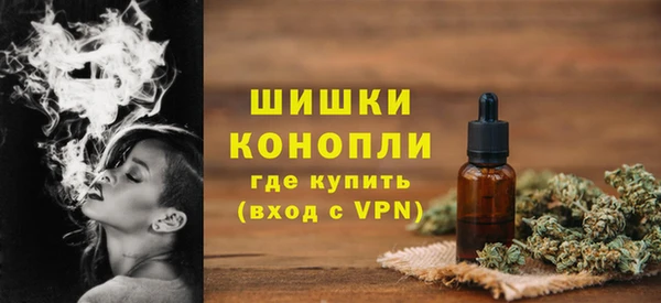 шишки Нея