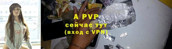шишки Нея