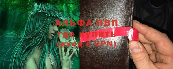 шишки Нея