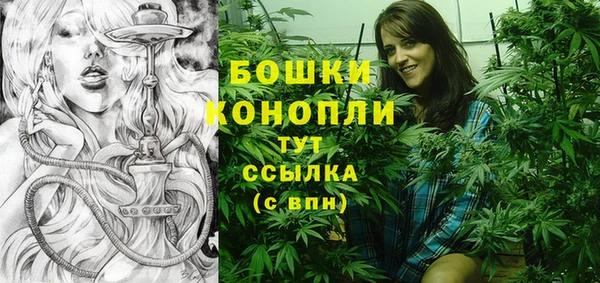 шишки Нея