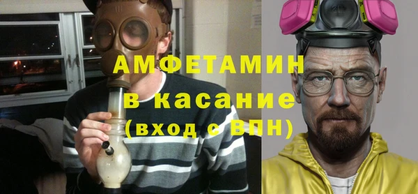 шишки Нея
