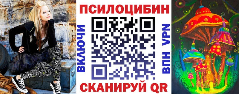 МЕГА как зайти  Сухиничи  Галлюциногенные грибы Cubensis 