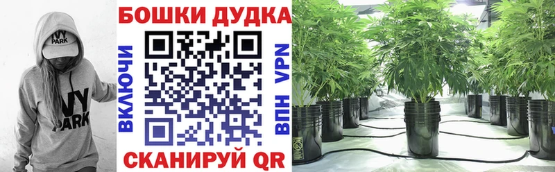 МАРИХУАНА Amnesia  Сухиничи 
